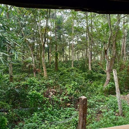 Siddhartha Wildlife Retreat Hotel Meghauli Exterior photo
