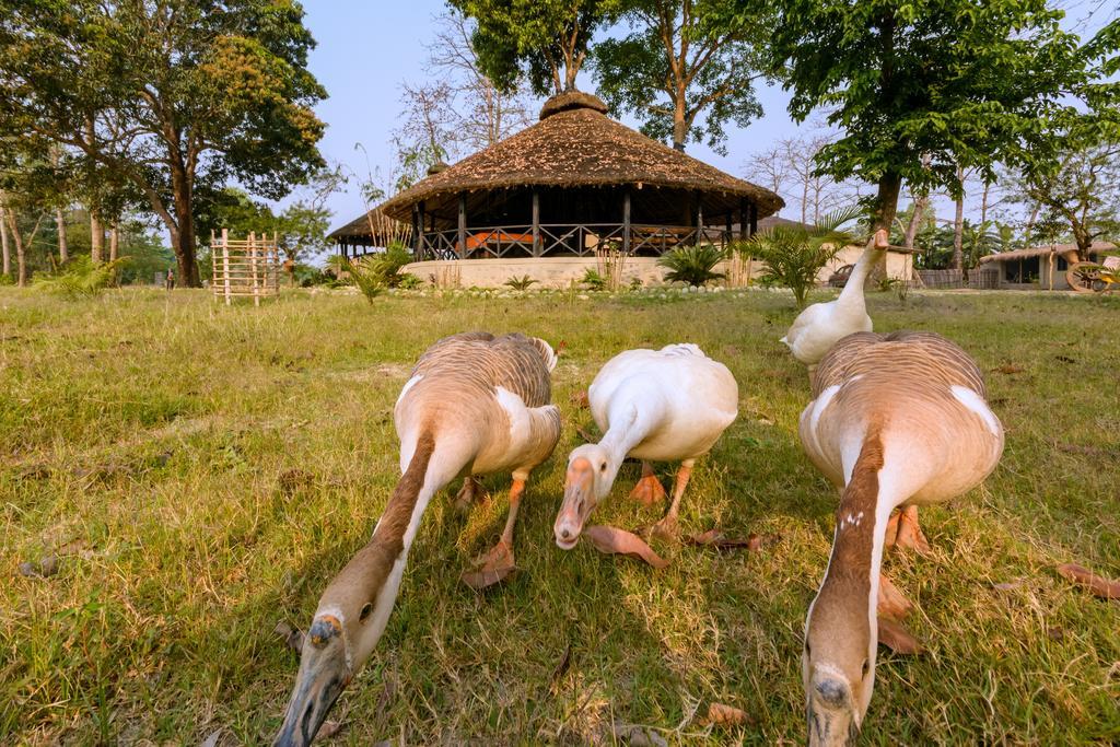 Siddhartha Wildlife Retreat Hotel Meghauli Exterior photo