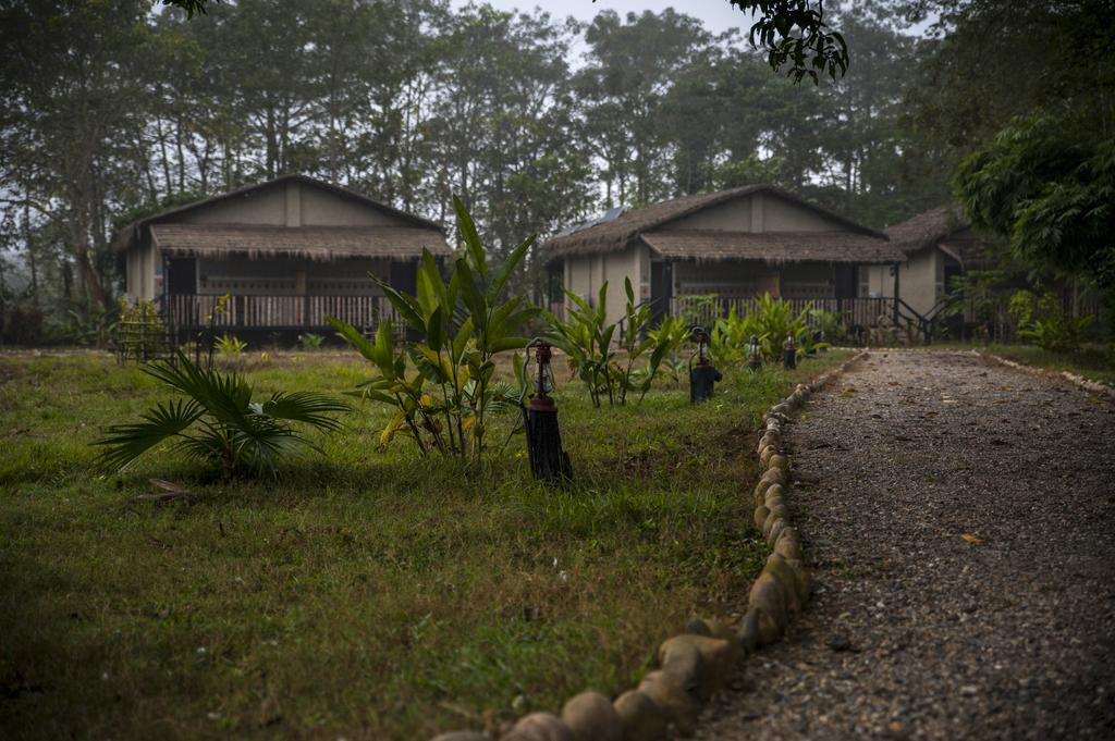 Siddhartha Wildlife Retreat Hotel Meghauli Exterior photo